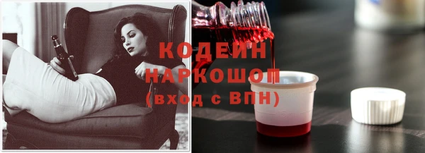 apvp Богданович
