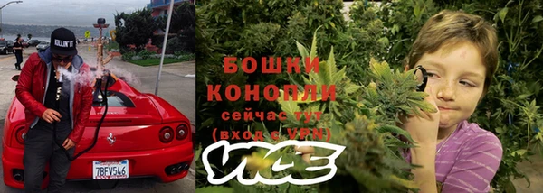 apvp Богданович